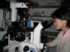 Shuo in microscope room